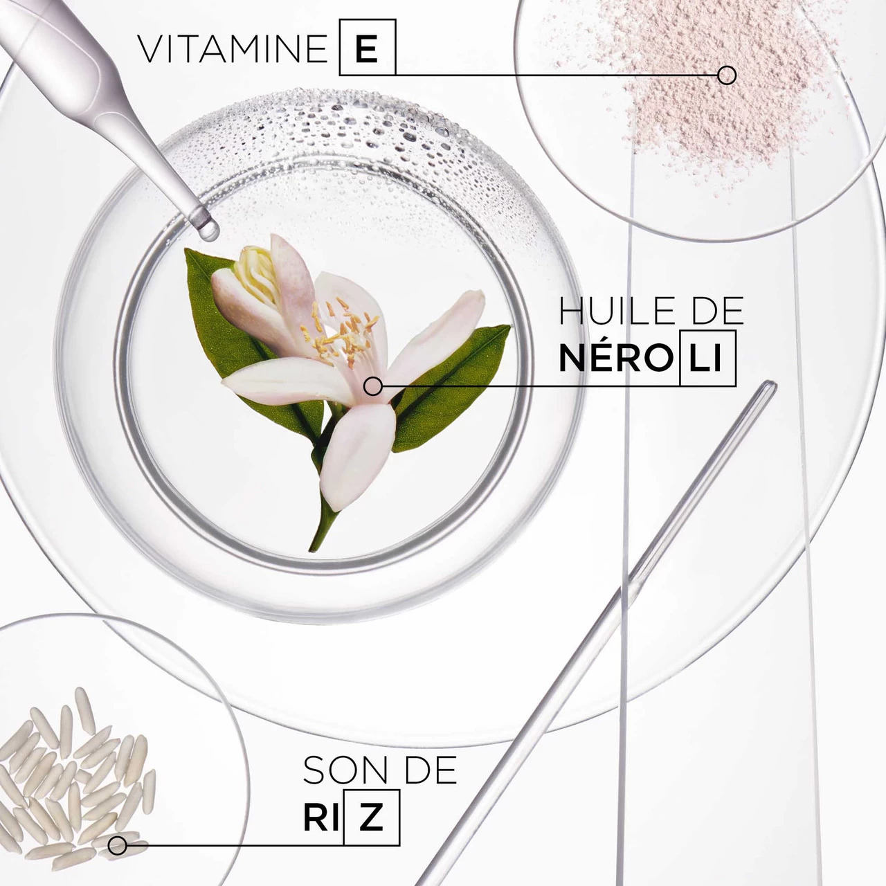 Shampooing Sec Fresh Affair Kerastase 150g 4 Shampooing Sec Fresh Affair Kerastase 150g – Image 4