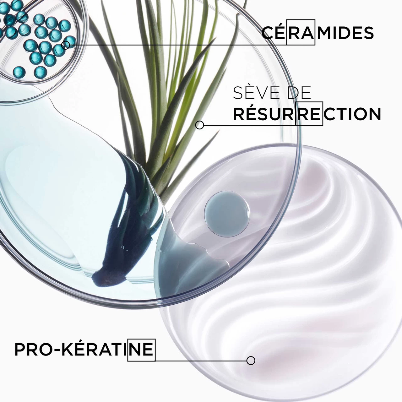 Masque Force Architecte Kérastase 200ml 5 Masque Force Architecte Kérastase 200ml – Image 5