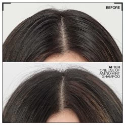 Shampoing Amino-Mint Redken 300ml -Produits Capillaires Boutique amino.1 56956.1694765720