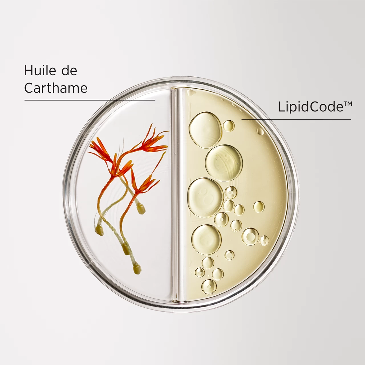 Spray Anti-Uv Et Thermoprotecteur LuxeBlond System Professional 180ml 3 Spray Anti-Uv Et Thermoprotecteur LuxeBlond System Professional 180ml – Image 3