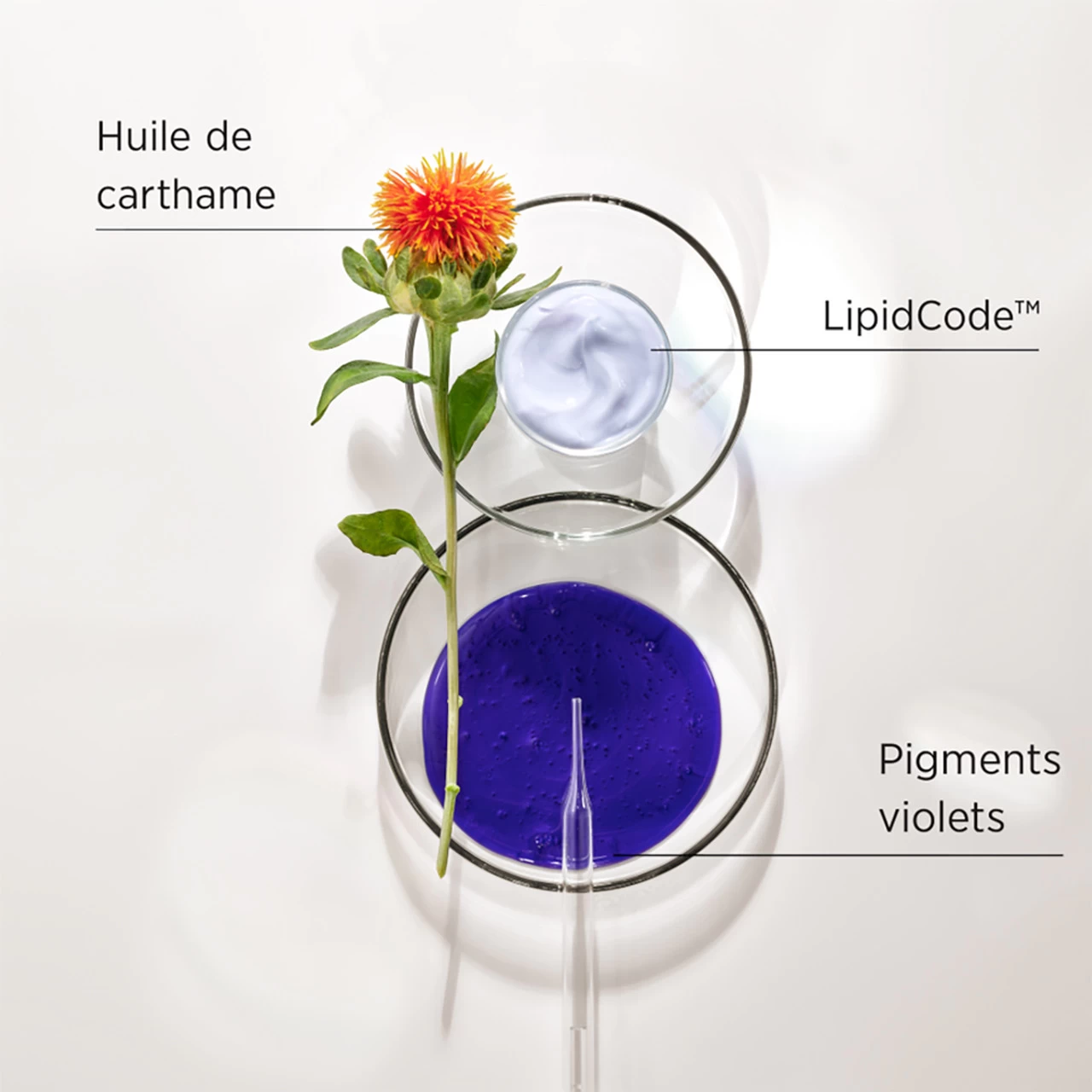 Shampooing LuxeBlond System Professional 1000ml 2 Shampooing LuxeBlond System Professional 1000ml – Image 2