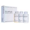 Olaplex Traveling Stylist Kit