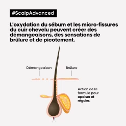 Shampooing Anti-Inconfort Scalp Advanced L'Oréal 500ml -Produits Capillaires Boutique scalp adavanced antiinconfort 48244.1684847785