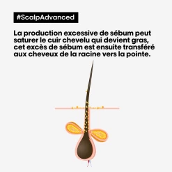 Shampooing Dermo-Purifiant Anti Gras Scalp Advanced L'Oréal 500ml -Produits Capillaires Boutique scalp advanced anti gras se bum 13592.1684847787